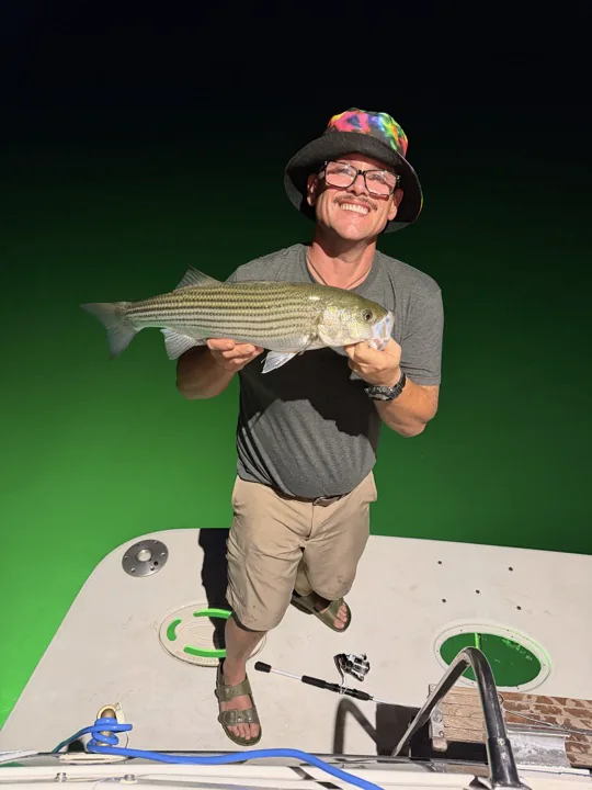 A Lake Lanier striped bass held on the boat