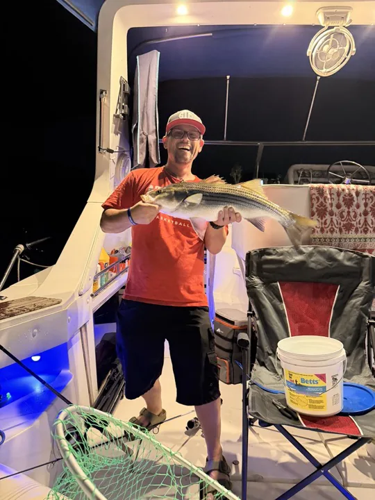 A Lake Lanier striped bass held on the boat